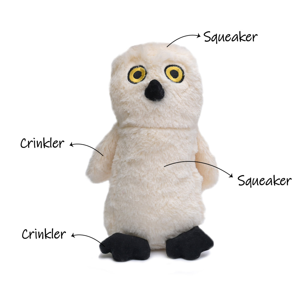 Owen The Owl