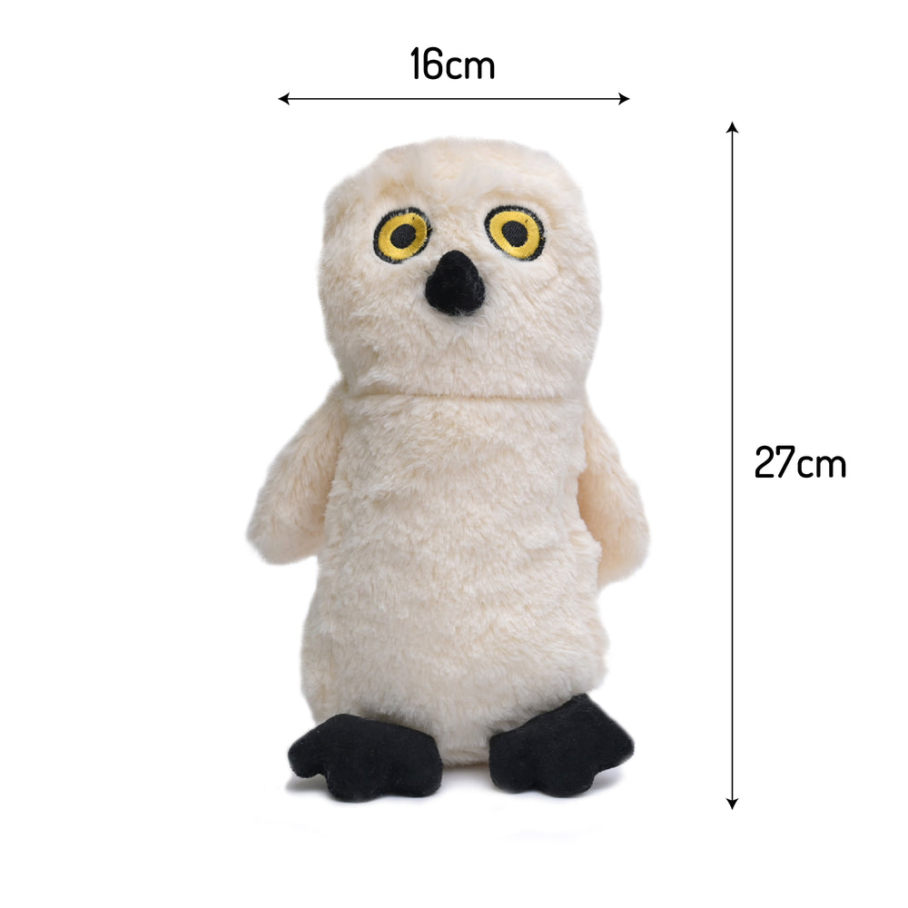 Owen The Owl