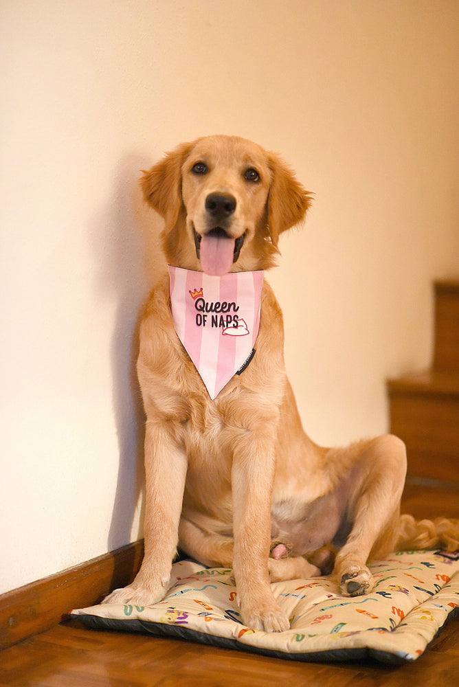 Queen of Naps Bandana - Mutt of Course