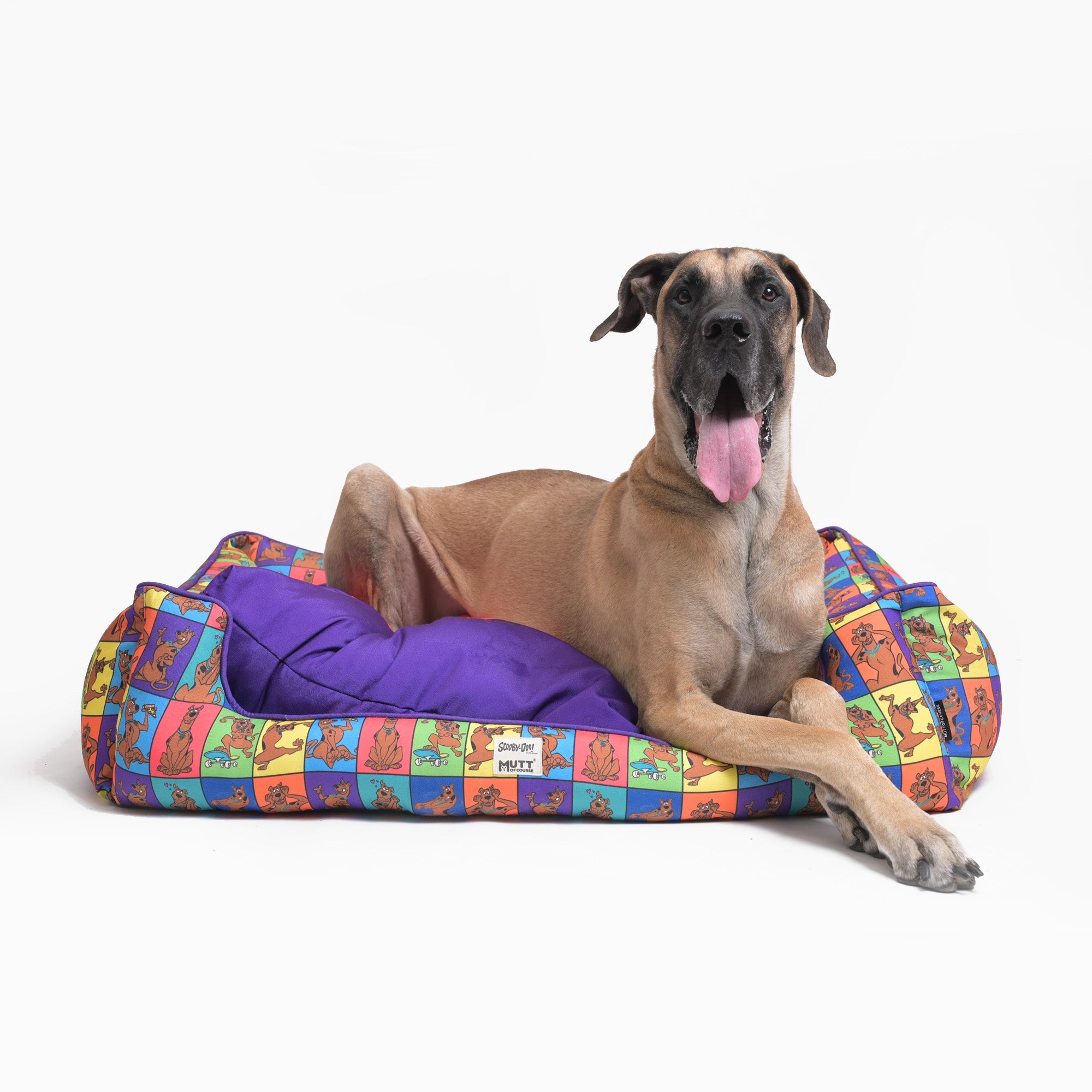 Scooby Poses Dog Bed Mutt of Course