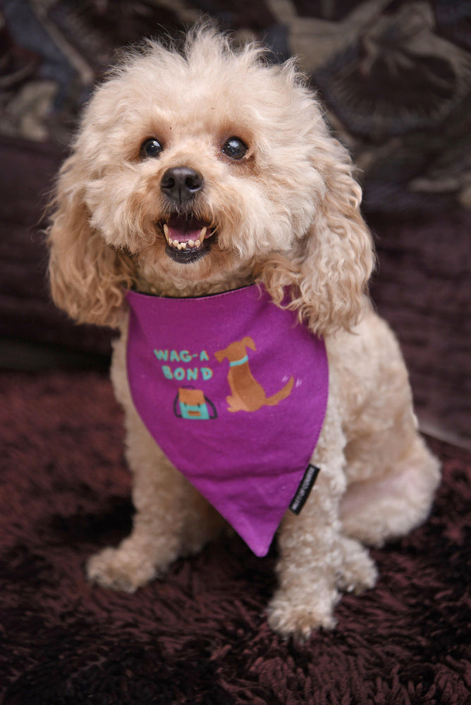 Wag A Bond Bandana - Mutt of Course