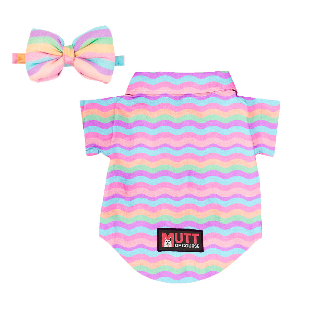 Marshmallow Rainbow Dog Shirt & Matching Bow Tie