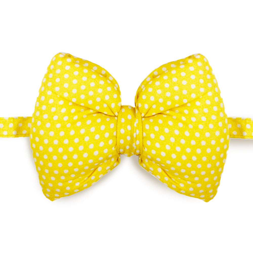 Yellow Fellow Dog Bow Tie