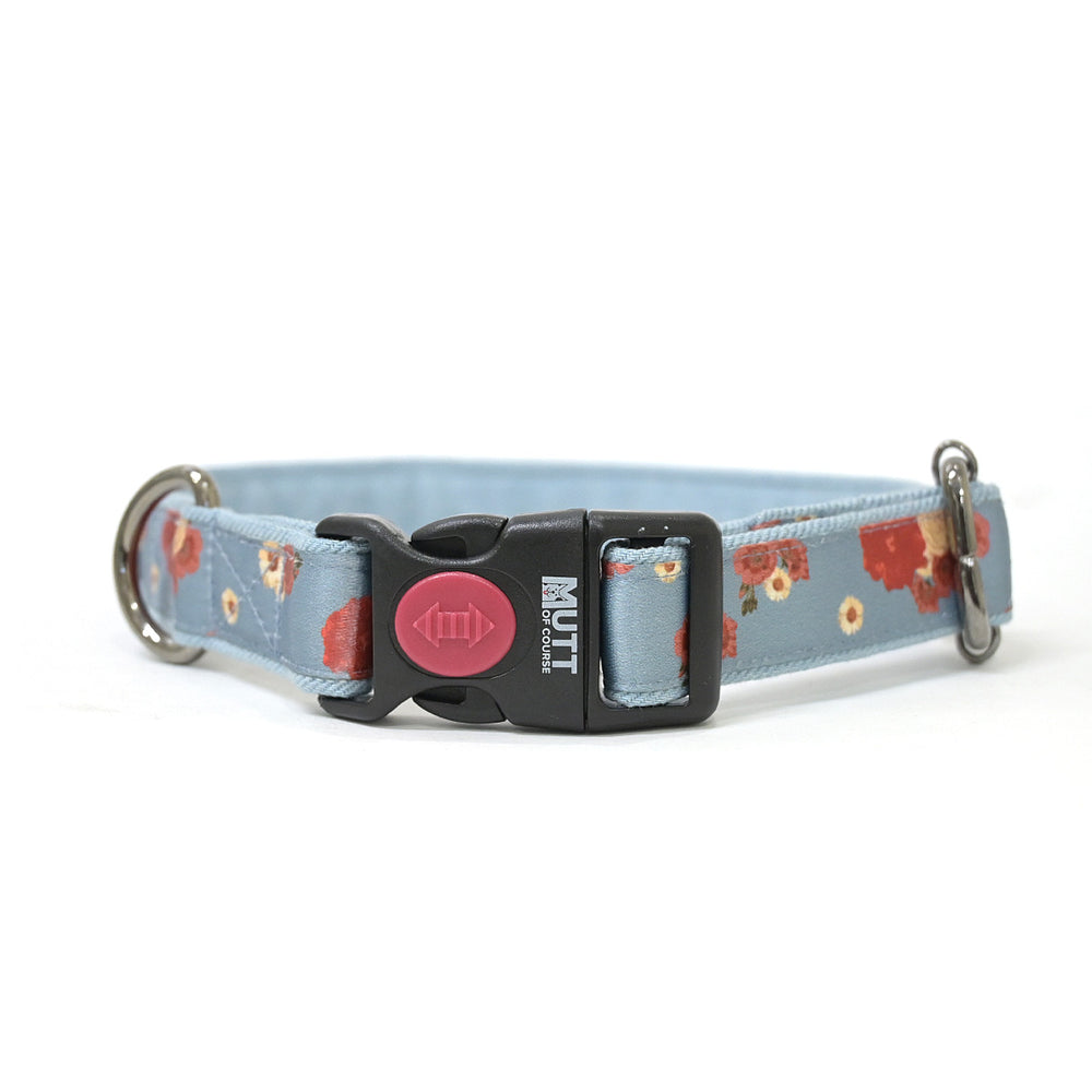 Pawesome Blossom Denim Collar
