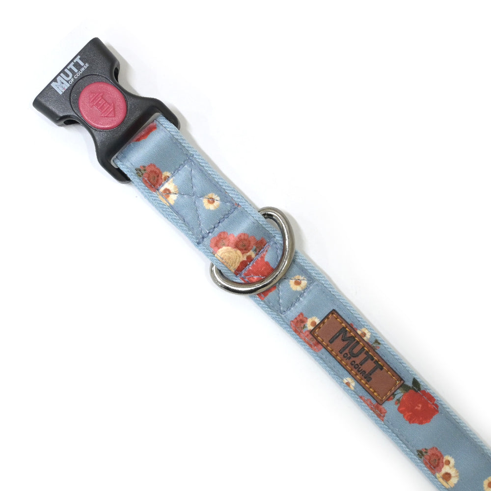 Pawesome Blossom Denim Collar