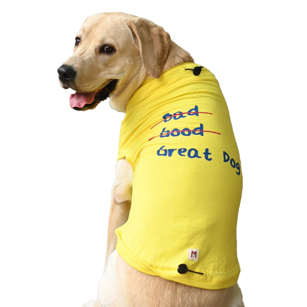 Great T-Shirt