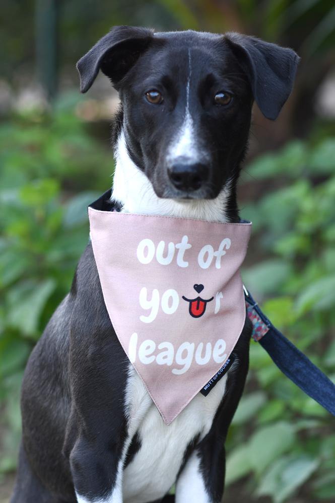 Out of Your League Bandana - Mutt of Course