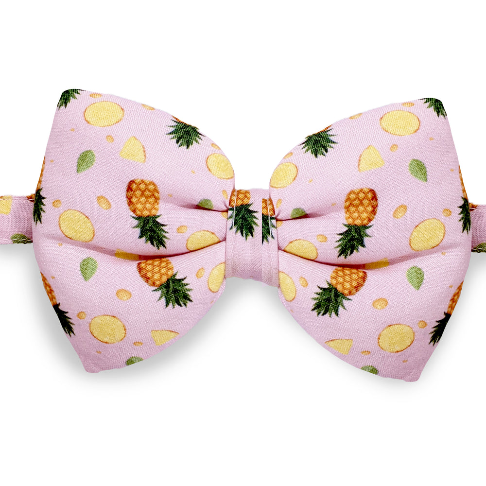 Pineapple Pop Dog Bow Tie