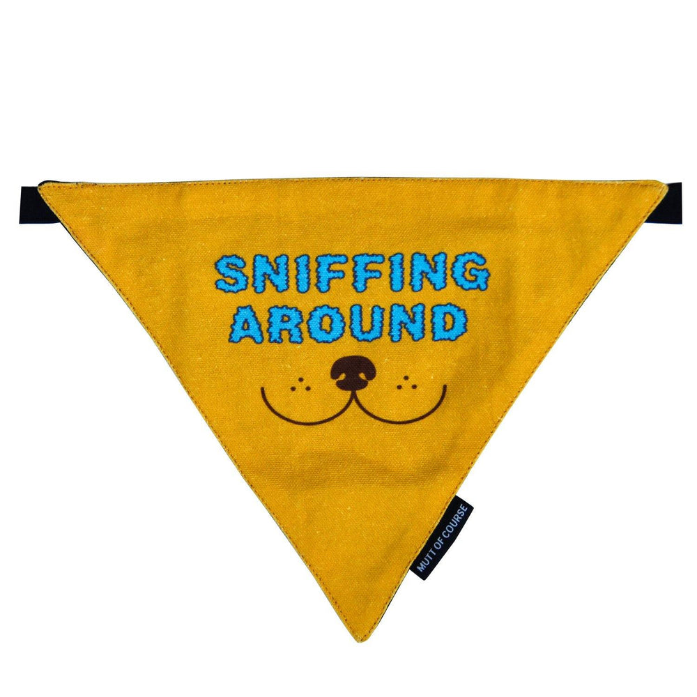 Sniffing Around Bandana - Mutt of Course