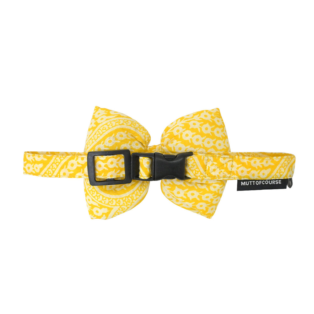 Yellow Blossom Bow Tie - Mutt of Course