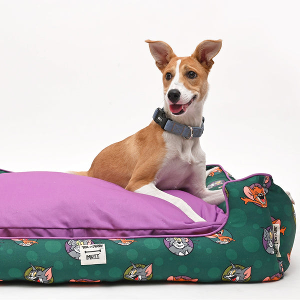 How to Choose the Best Dog Bed?
