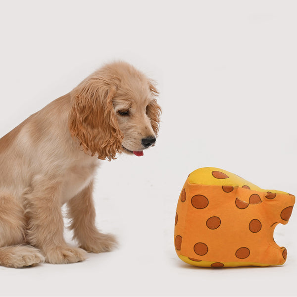 How to Choose the Right Dog Toys?