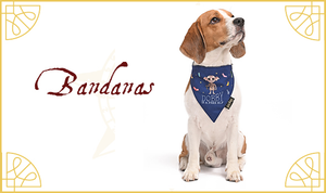 HP e Bandanas