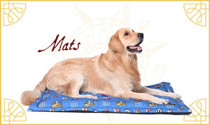 HP h Mats