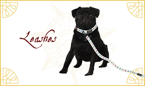 HP g Leash