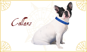 HP f Collar