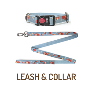 Clearance - Collars & Leashes