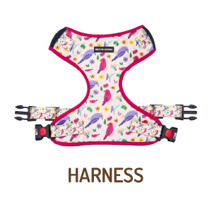 Clearance - Harnesses