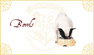 HP i Bowls