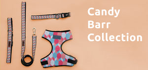 Candy Barr Collection