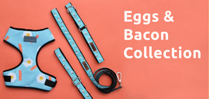 Eggs N' Bacon Collection