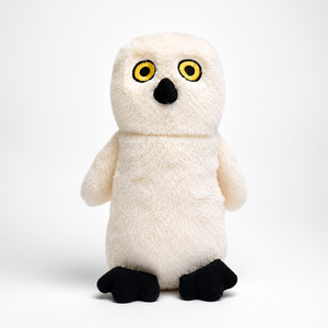 Owen The Owl