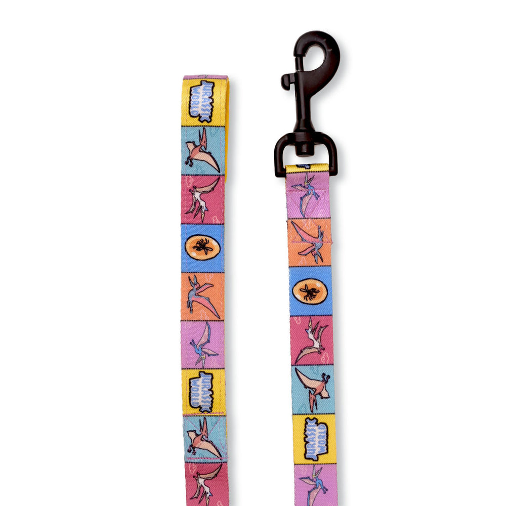 Jurassic Flying Dinos Dog Collar & Leash Set | Pterosaur Adventure Walking Set for Dogs