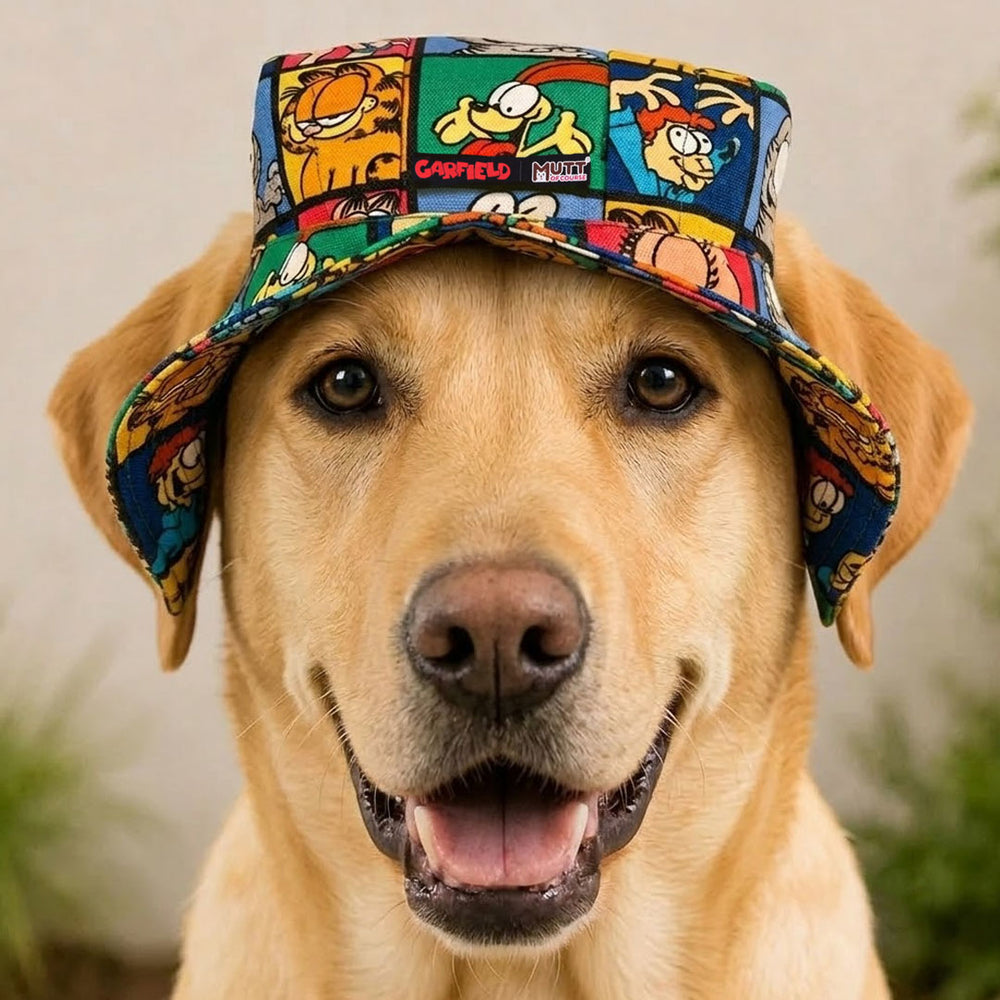 Garfield Gang  Dog Hat