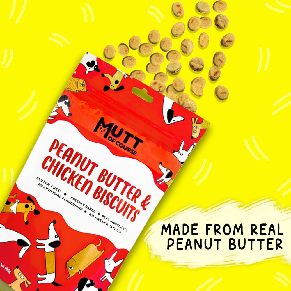 Peanut Butter Chicken Pet Treats (Gluten Free)