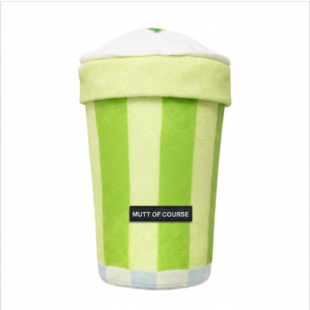 Big Bhaang Theory Squeaky Dog Toy