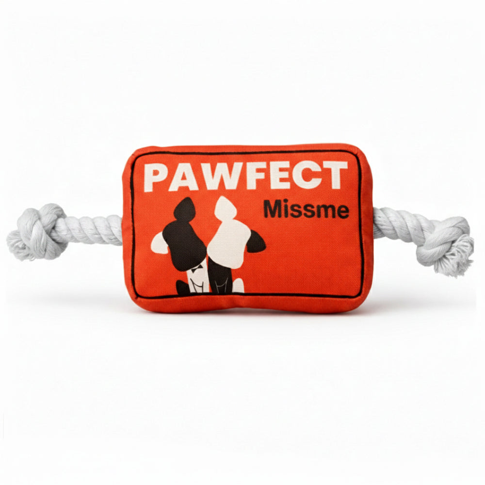 Pawfect Missme Squeaky Rope Dog Toy