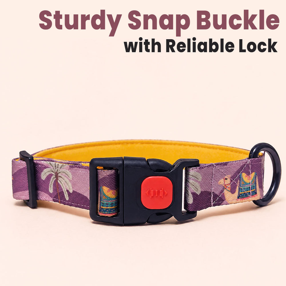 Royal Indian Camel Collar For Dogs
