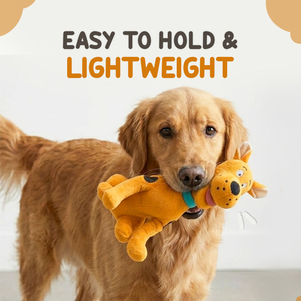 Mr D. Dog Toy