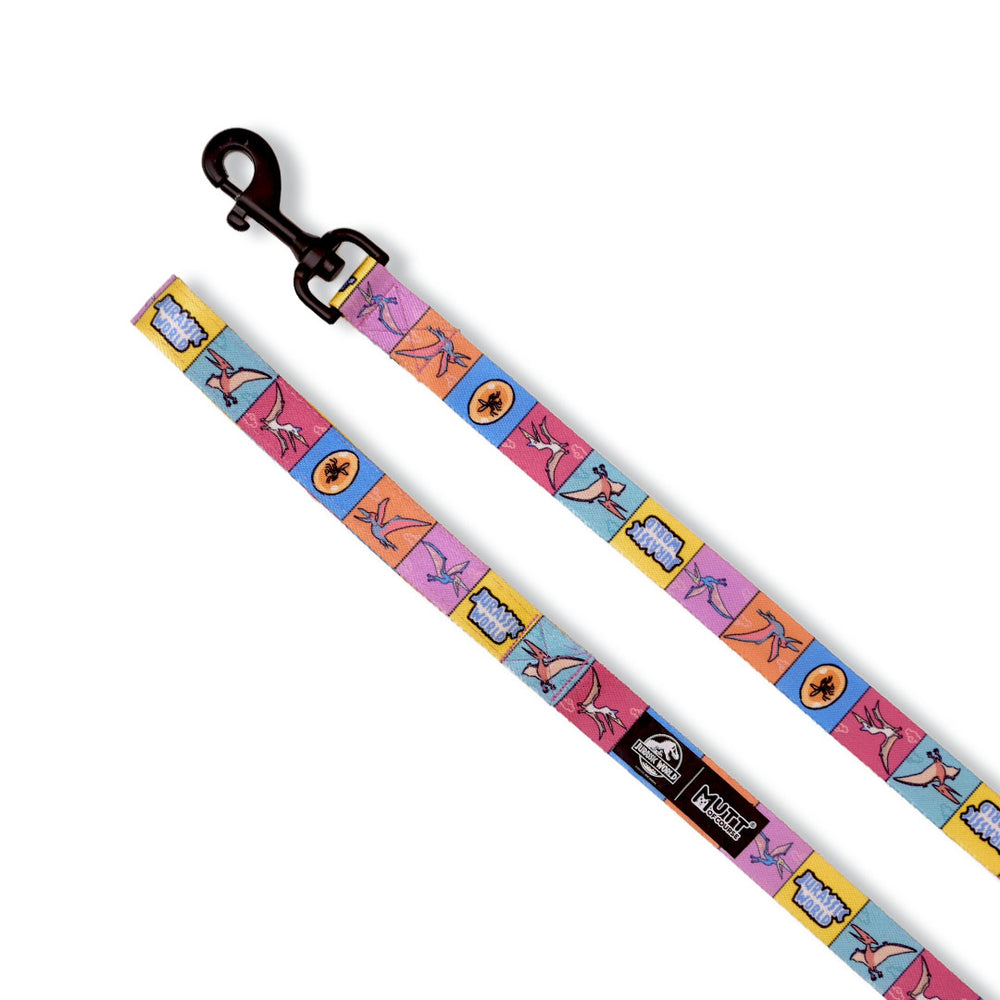 Jurassic Flying Dinos Dog Collar & Leash Set | Pterosaur Adventure Walking Set for Dogs