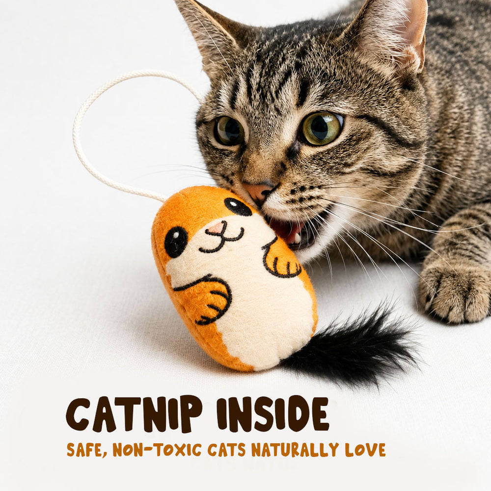 The Mutt Squirrel Cat Stick Toy