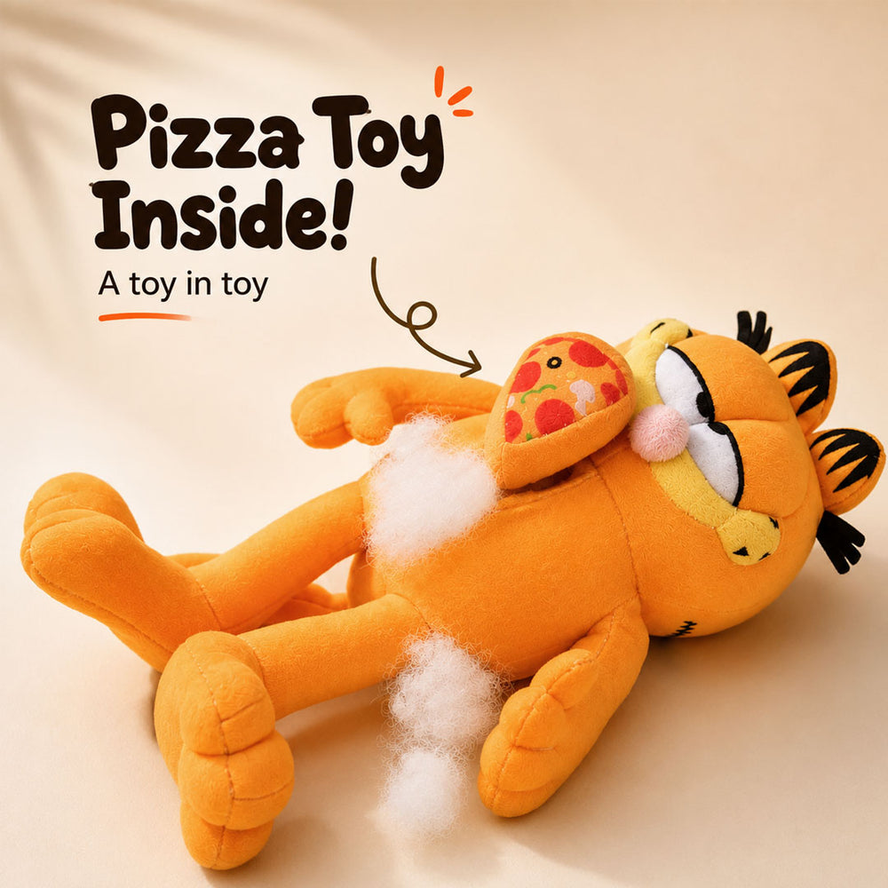 Garfield Plush Toy (2-in-1 Toy)