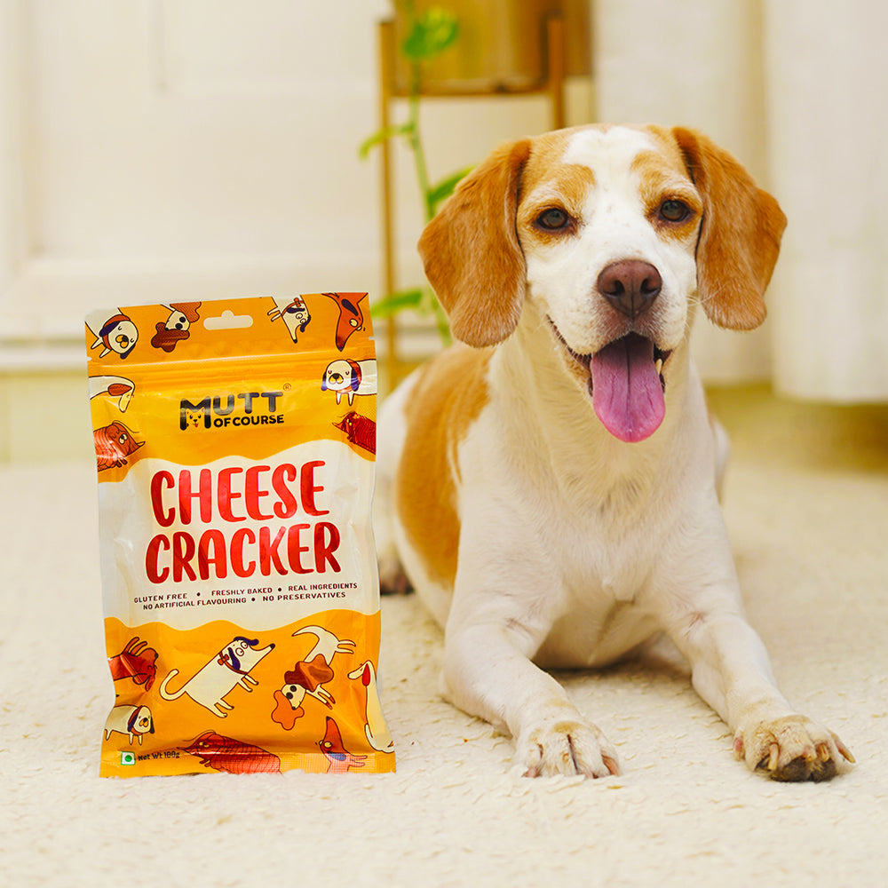 Cheese Crackers For Dogs