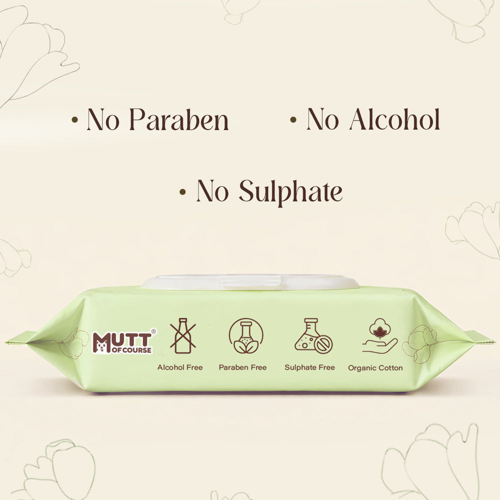 Water-Based Pet Wipes (Large) For Cats & Dogs