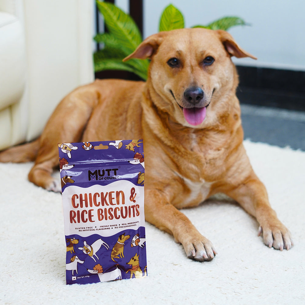 Chicken Rice Biscuits (For Cats And Dogs)