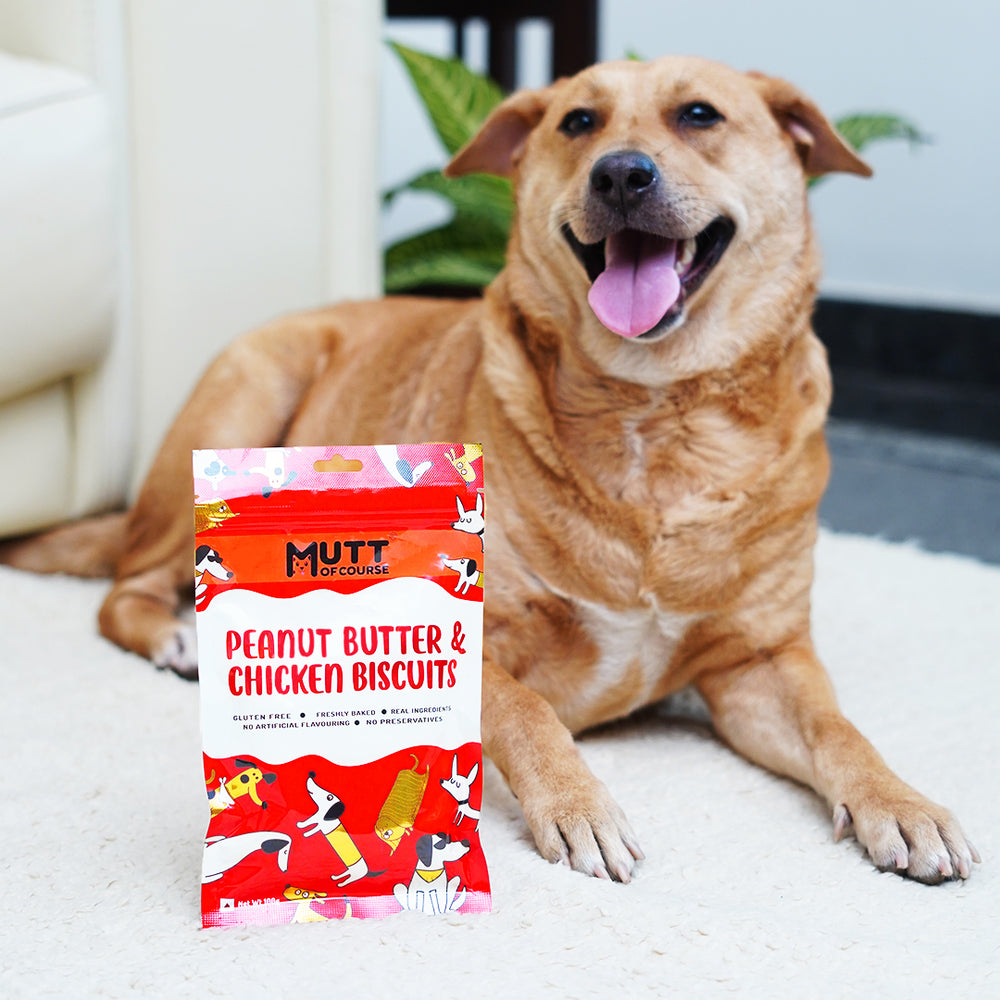 Peanut Butter Chicken Pet Treats (Gluten Free)