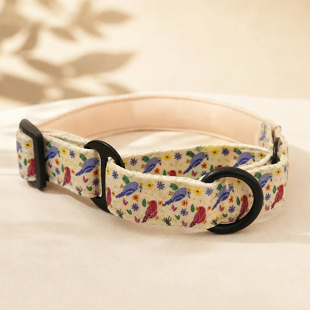 Mutt Of Course Chirpy Chirp Martingale Collar | Soft & Comfortable Dog Collar