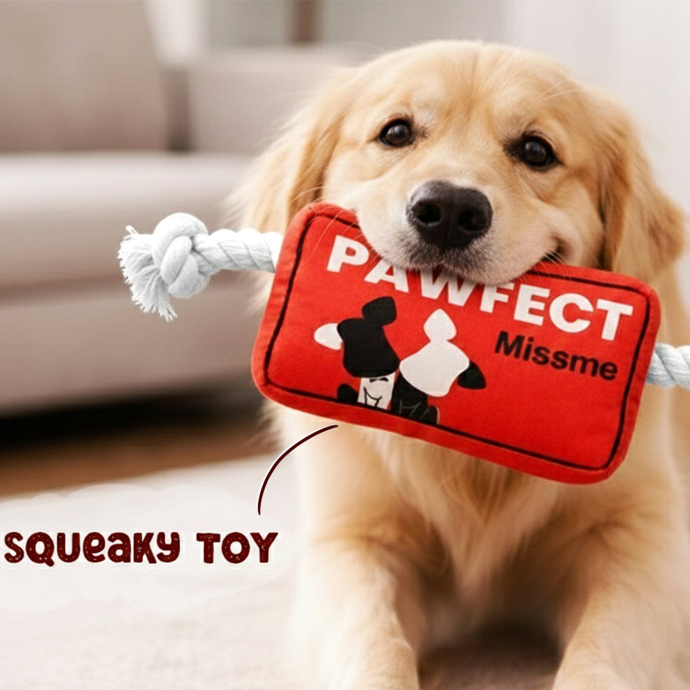 Pawfect Missme Squeaky Rope Dog Toy