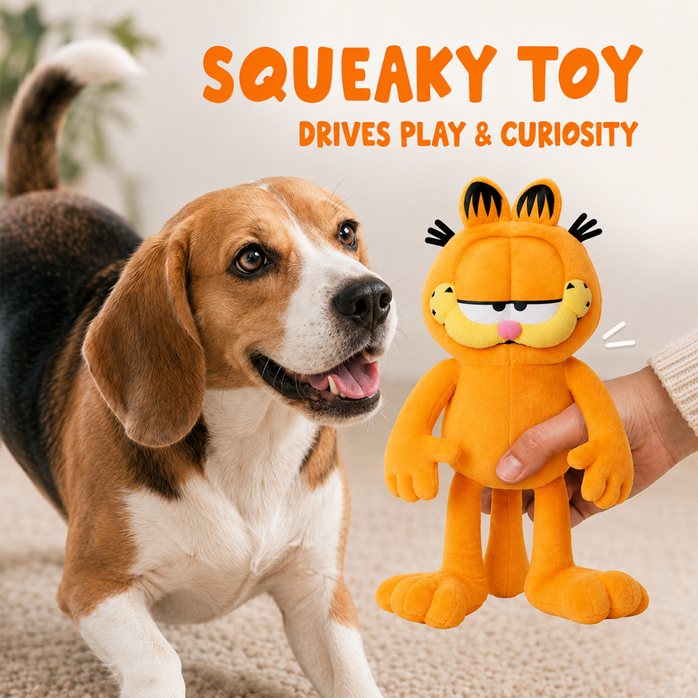Garfield Plush Toy (2-in-1 Toy)