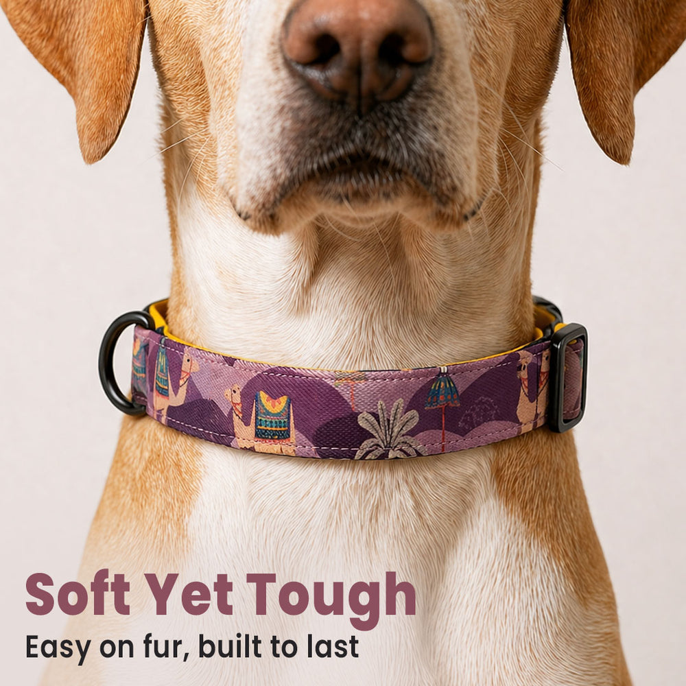 Royal Indian Camel Collar For Dogs