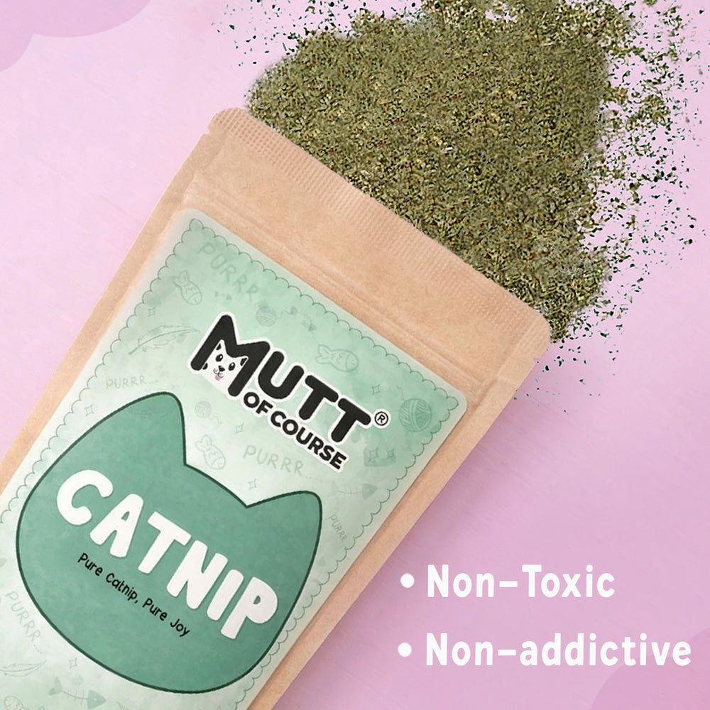 Mutt Of Course – Pure Cat nip
