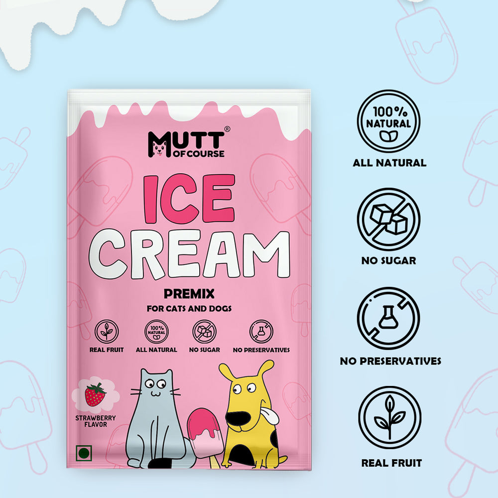 Strawberry Ice Cream for Cats & Dogs - Premix (Pet Nutritionist Approved)