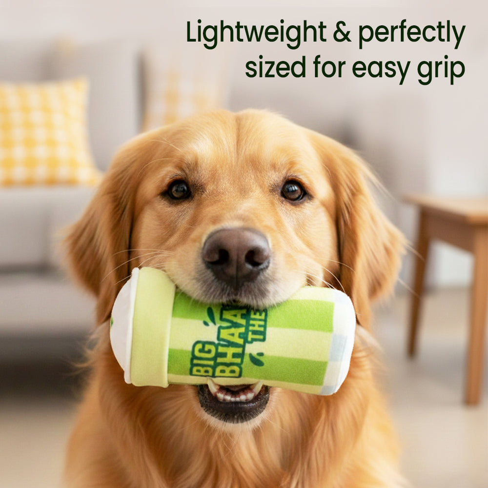 Big Bhaang Theory Squeaky Dog Toy