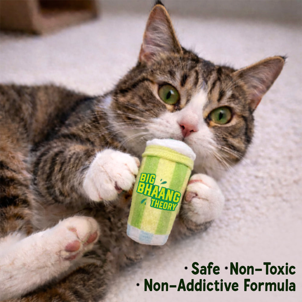 Big Bhaang Theory Catnip Plush Toy