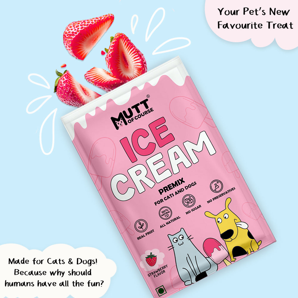 Strawberry Ice Cream for Cats & Dogs - Premix (Pet Nutritionist Approved)