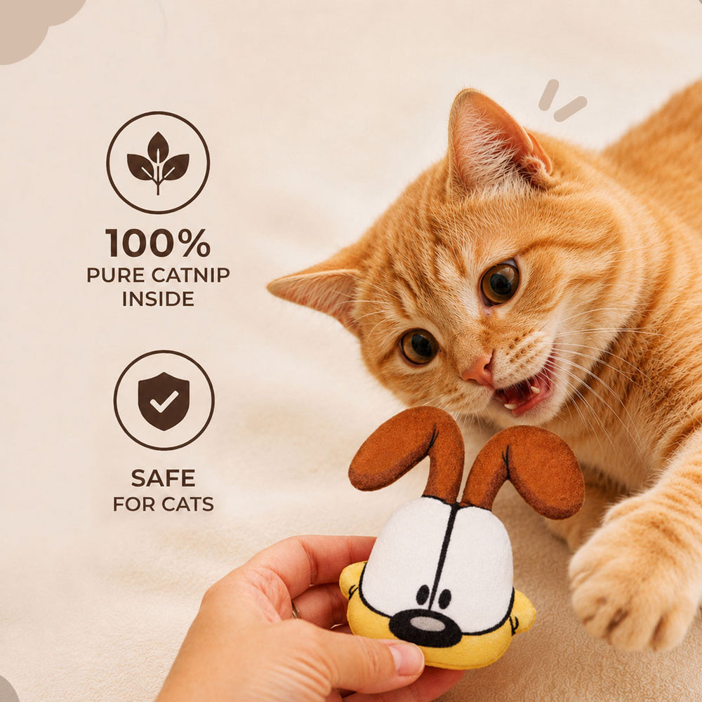 Odie Catnip Plush Toy